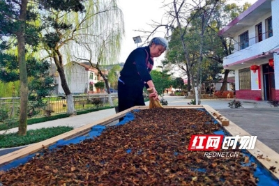 微信图片_20221014130340